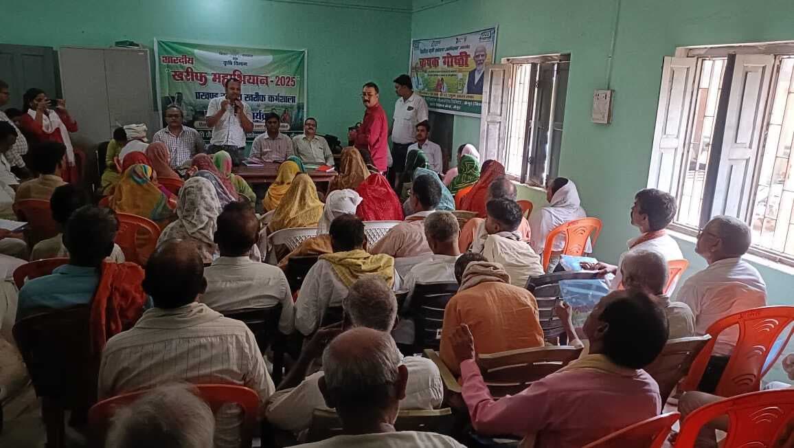 धान की सीधी बुआई कर किसान कर सकते हैं अधिक मुनाफा