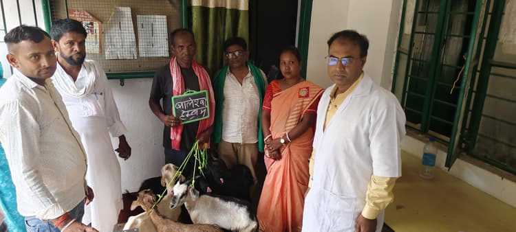 मुख्यमंत्री पशुधन विकास योजना : प्रमुख ने 25 लाभुकों के बीच बकरियों का किया वितरण