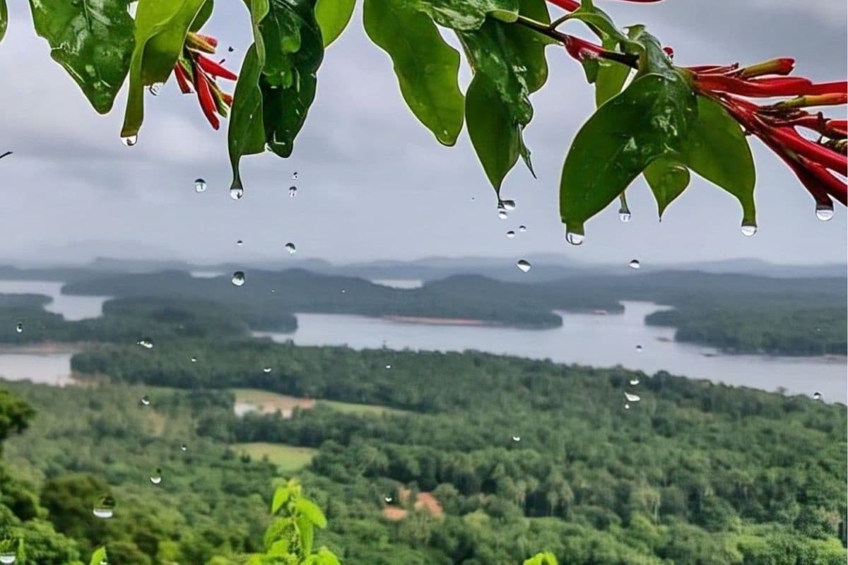 jharkhand monsoon jharkhand monsoon