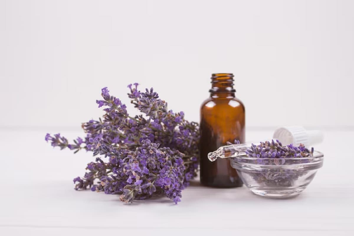 lavendar oil