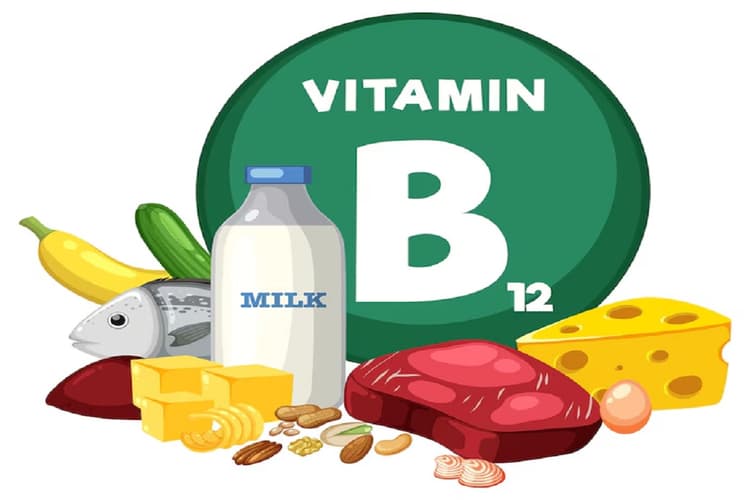 Vitamin B12 Rich Foods: विटामिन B12 से भरपूर ये 4 सब्जियां बनाएं सेहतमंद और मजबूत