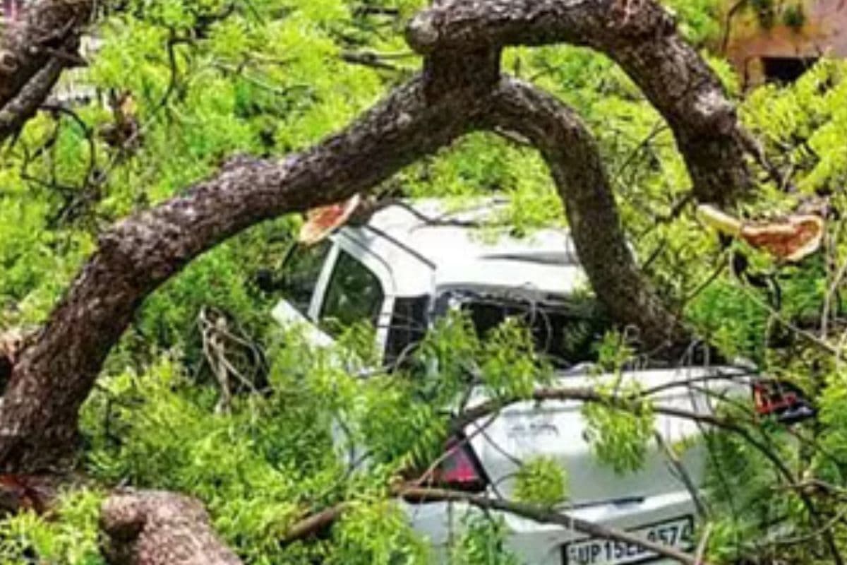 सीवान में आंधी-पानी का कहर, पेड़ से दबकर दो महिलाएं समेत सात लोगों की दर्दनाक मौत सीवान में आंधी-पानी का कहर, पेड़ से दबकर दो महिलाएं समेत सात लोगों की दर्दनाक मौत