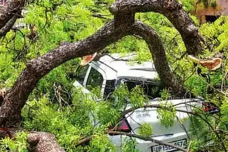 सीवान में आंधी-पानी का कहर, पेड़ से दबकर दो महिलाएं समेत सात लोगों की दर्दनाक मौत