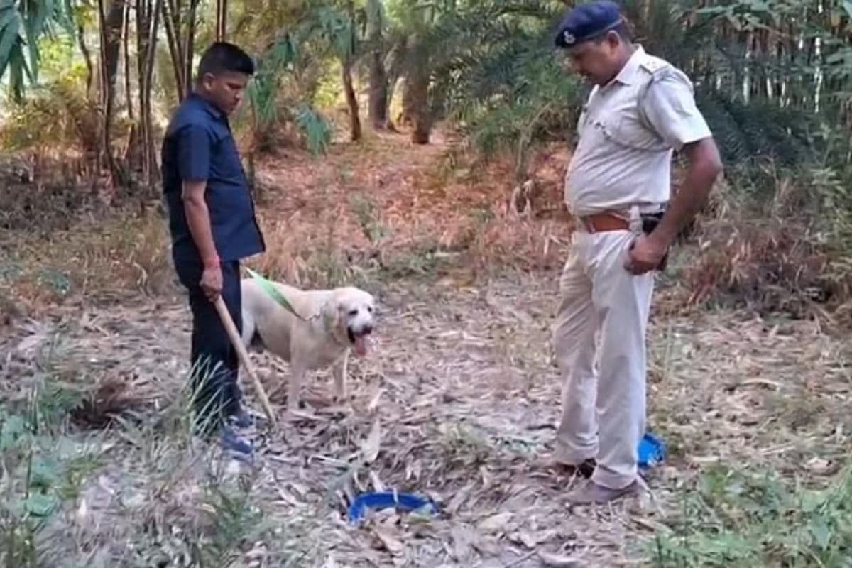Bihar Liquor: जमीन के अंदर से मिला शराब का जखीरा, डॉग स्क्वॉयड की मदद से चल रहा था तलाशी अभियान