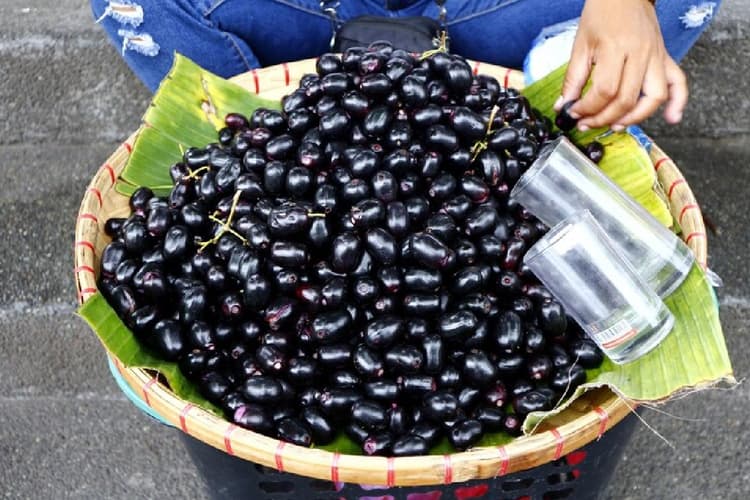 लंदन के लोग चखेंगे भारत के ताजे जामुन का स्वाद, सरकार ने इस राज्य से भेजी पहली खेप