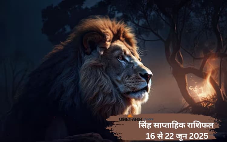 Leo Weekly Horoscope 16 से 22 जून 2025, प्रेम संबंधों में अहंकार से टकराव हो सकता है