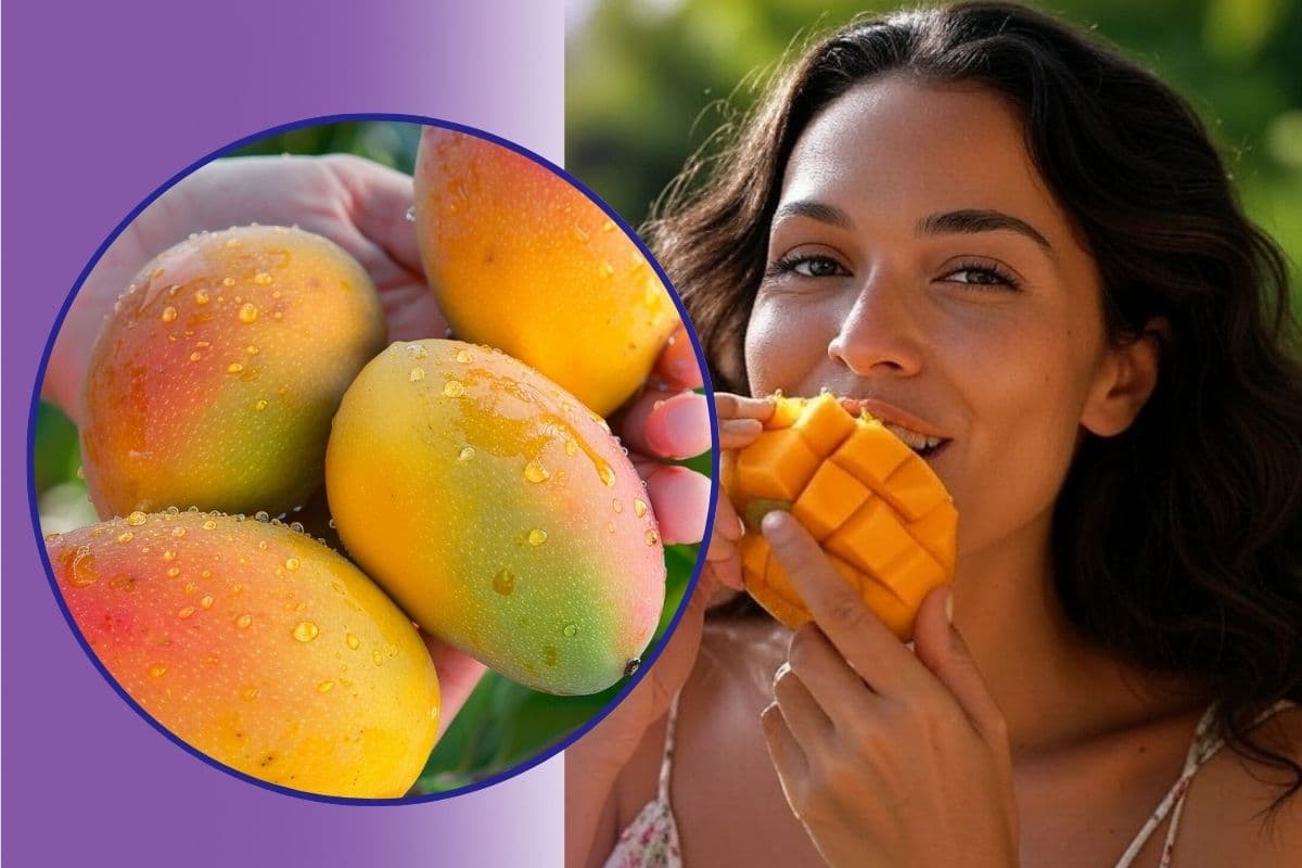 Malihabad Mango Story in Hindi