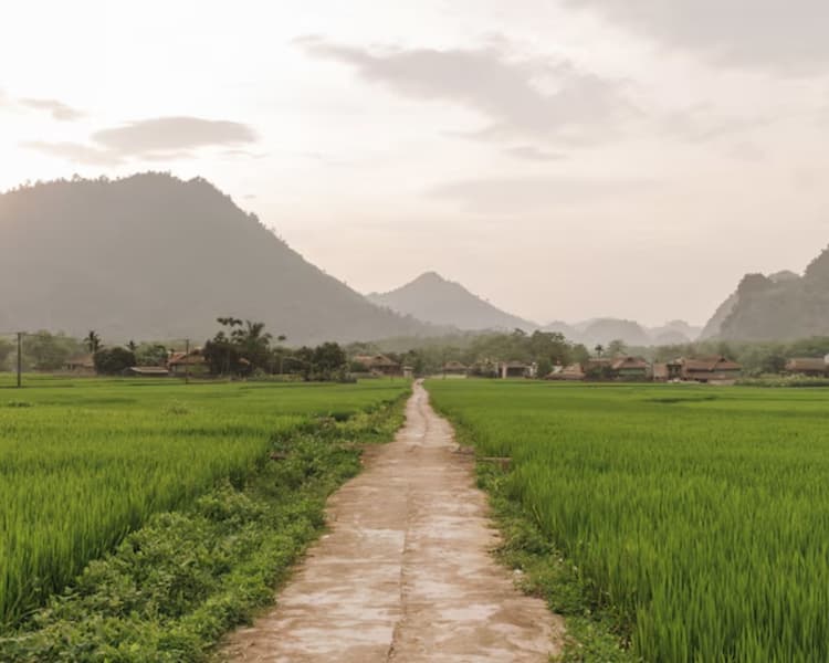 जिसने भी बनाया यहां दो मंजिला घर, उस पर टूटी आफत! वजह जानकर आप कहेंगे- ऐसा कैसे हो सकता है?