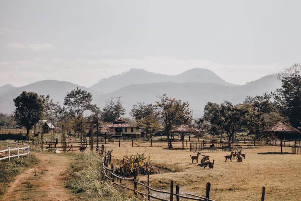 Nagaland Tourism Nagaland Tourism