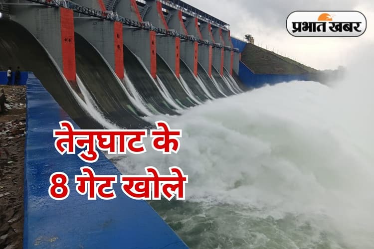 Tenughat Dam Water Level: तेनुघाट डैम का जलस्तर खतरे के निशान के करीब, 8 गेट खोले गये