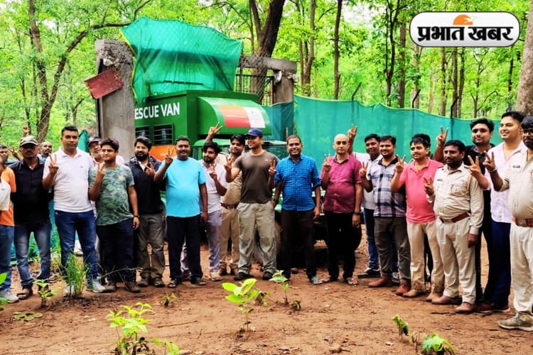 Latehar News: रांची के सिल्ली से रेस्क्यू कर लाये गये बाघ को पीटीआर में छोड़ा गया