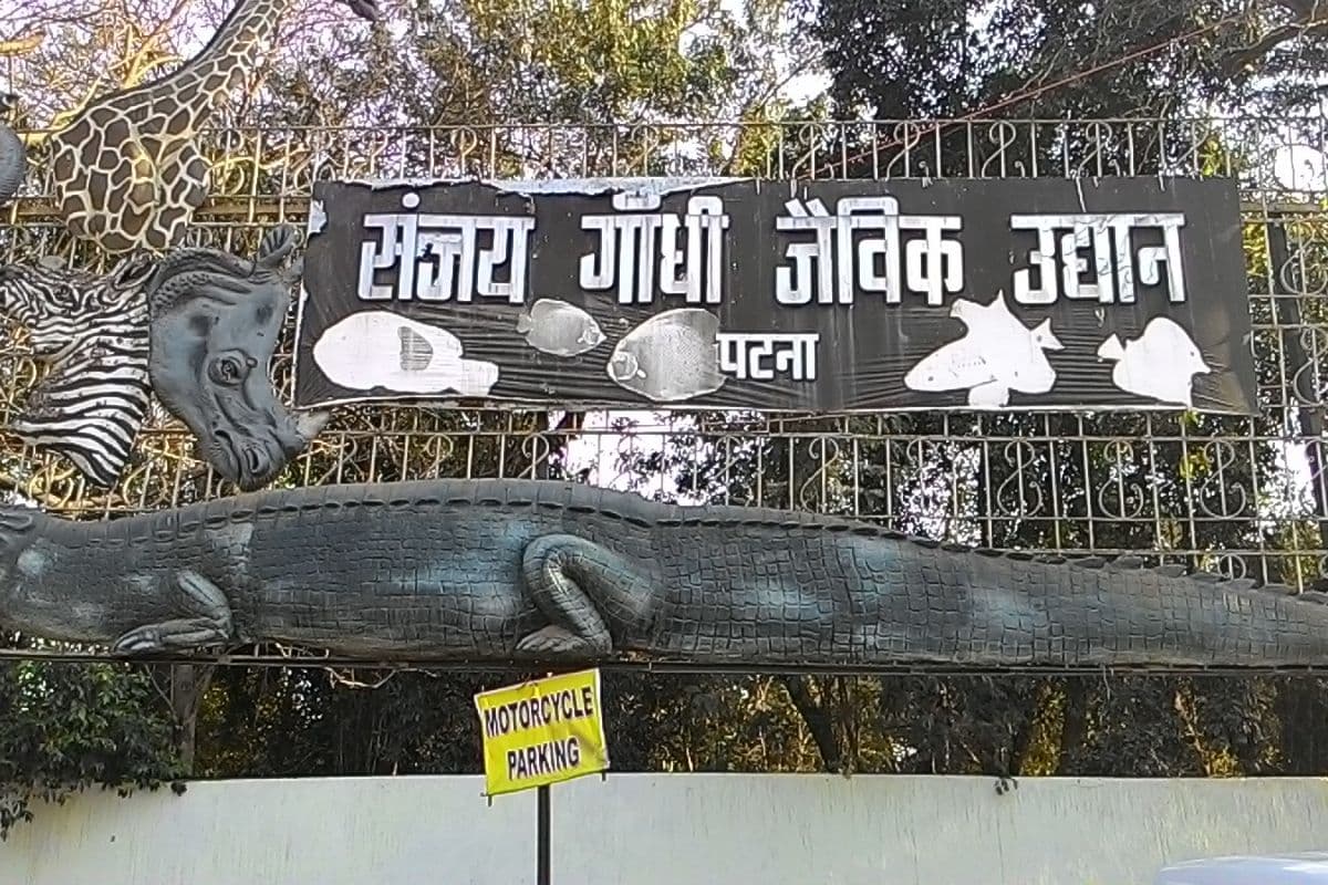 बिहार के इस जिले में है देश का चौथा सबसे बड़ा चिड़ियाघर, 20 लाख से अधिक पर्यटक आते हैं घूमने, जानवरों के लिए खास सुविधाएं