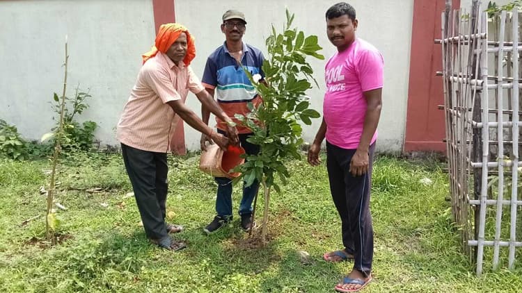 मॉडल कॉलेज में आंध्रप्रदेश से लाये गये बालम खीरा के लगाये गये बीज