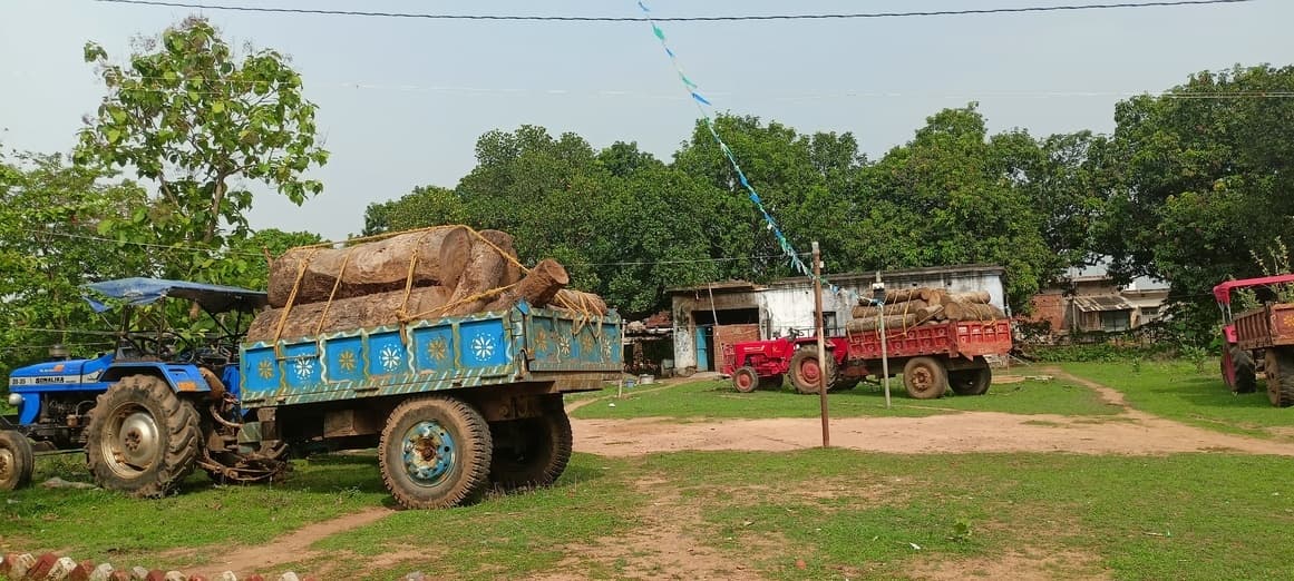तीन ट्रैक्टर गोल लकड़ी जब्त, जांच के बाद किया गया मुक्त
