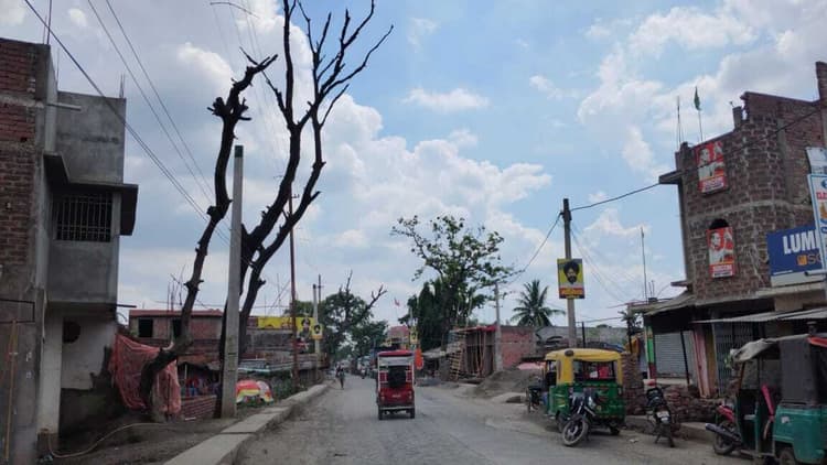 मिर्जाचौकी: सड़क किनारे जगह-जगह सूखे पेड़, हादसे का बना रहता है खतरा