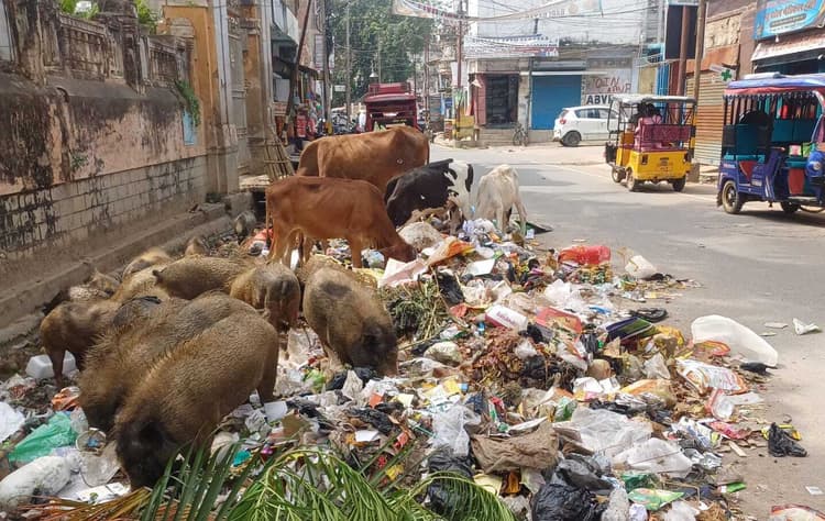 प्रतिदिन नहीं हो रहा कूड़ों का उठाव, बजबजा रही शहर की सड़कें