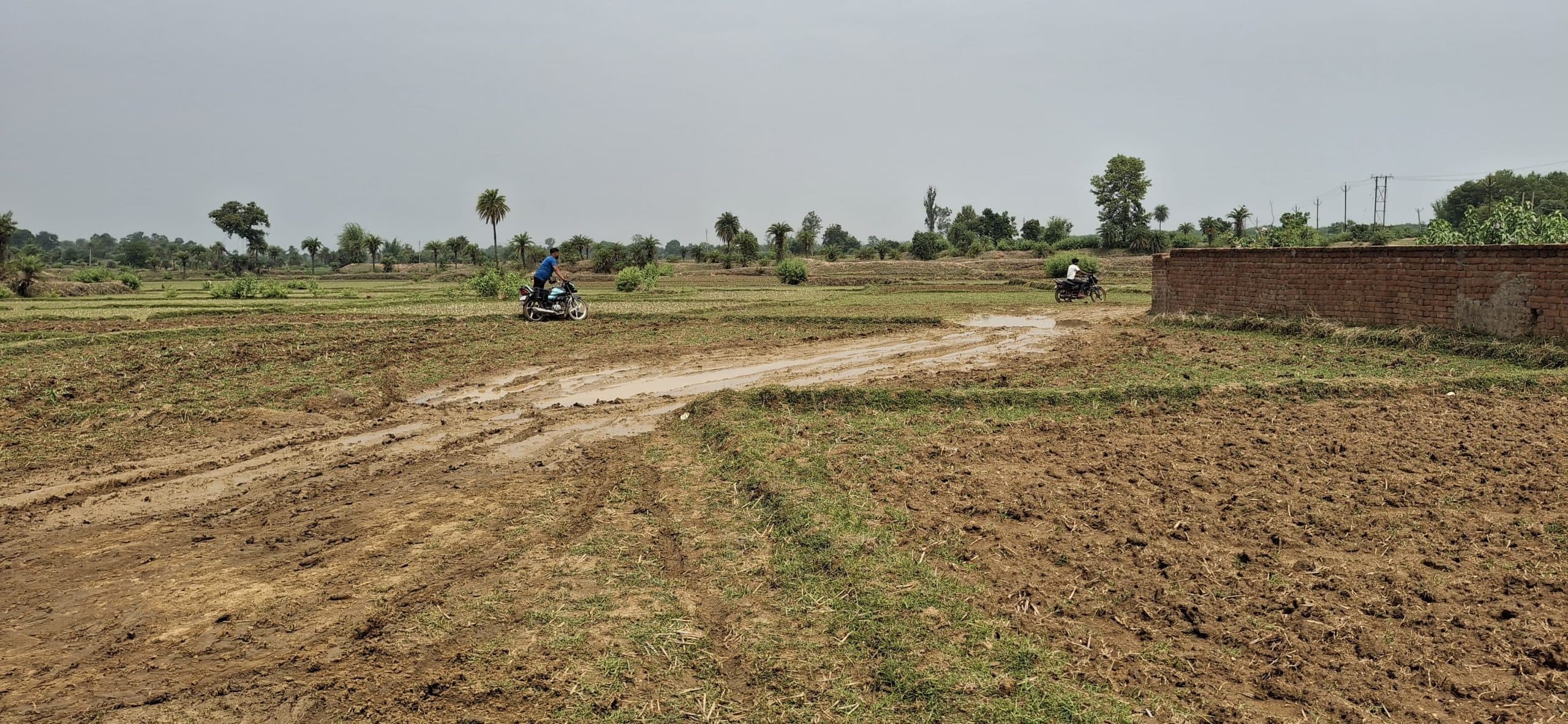 Giridih News :खरियोडीह-घोरंजी सड़क को दो जगह काटा, चलना मुश्किल