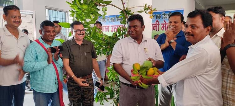 आम उत्सव और बागवानी मेले के जरिये स्वरोजगार को मिला नया आयाम