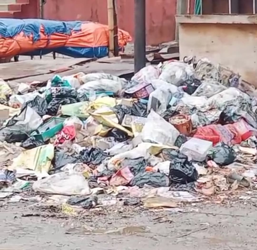 बसमतिया बाजार में कचरे के ढेर