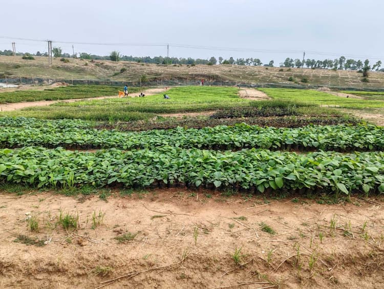 Rivers of Bihar: बिहार की 32 नदियां सूख गईं, बागमती समेत 50 संकट में