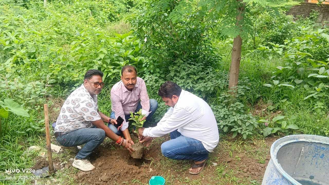 भाजपाइयों ने शुरू की एक पेड़ मां के नाम अभियान