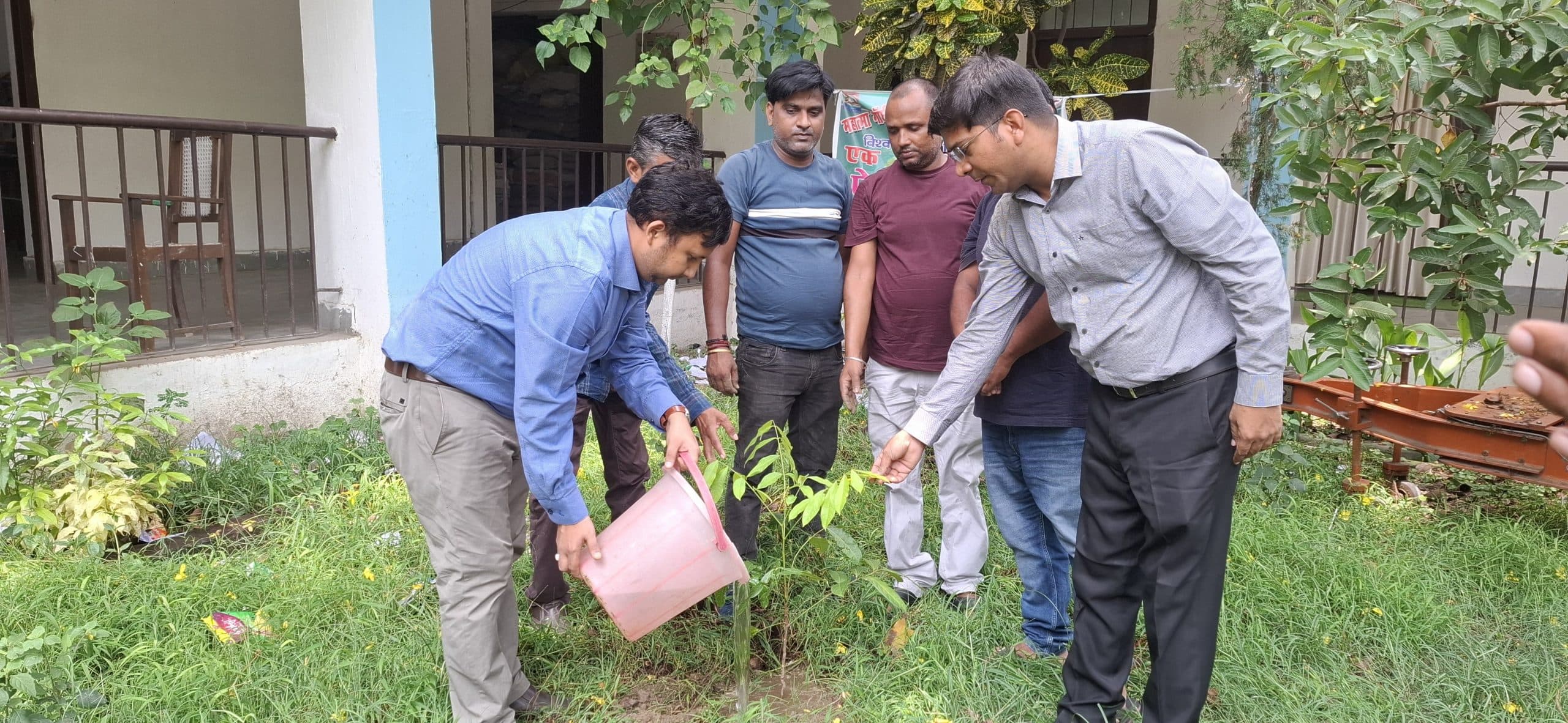 विश्व पर्यावरण दिवस पर अनुमंडल परिसर में किया गया पौधरोपण