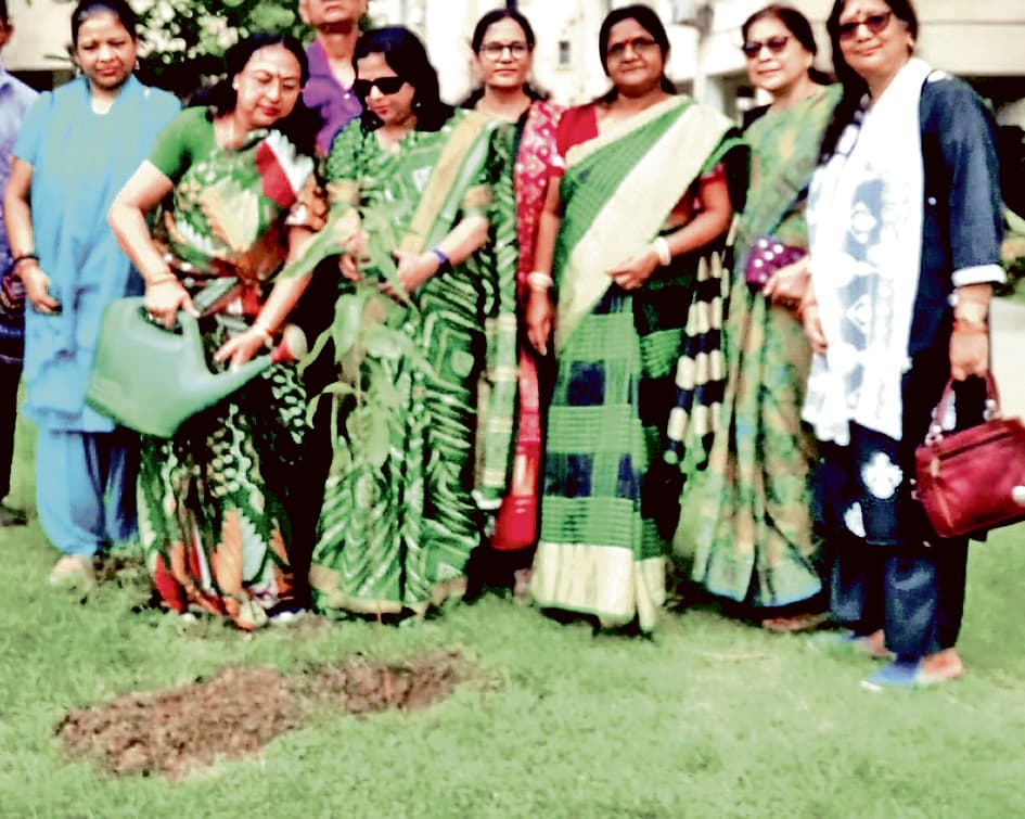 सृष्टिनगर में महिलाओं ने लगाये फल देनेवाले पौधे