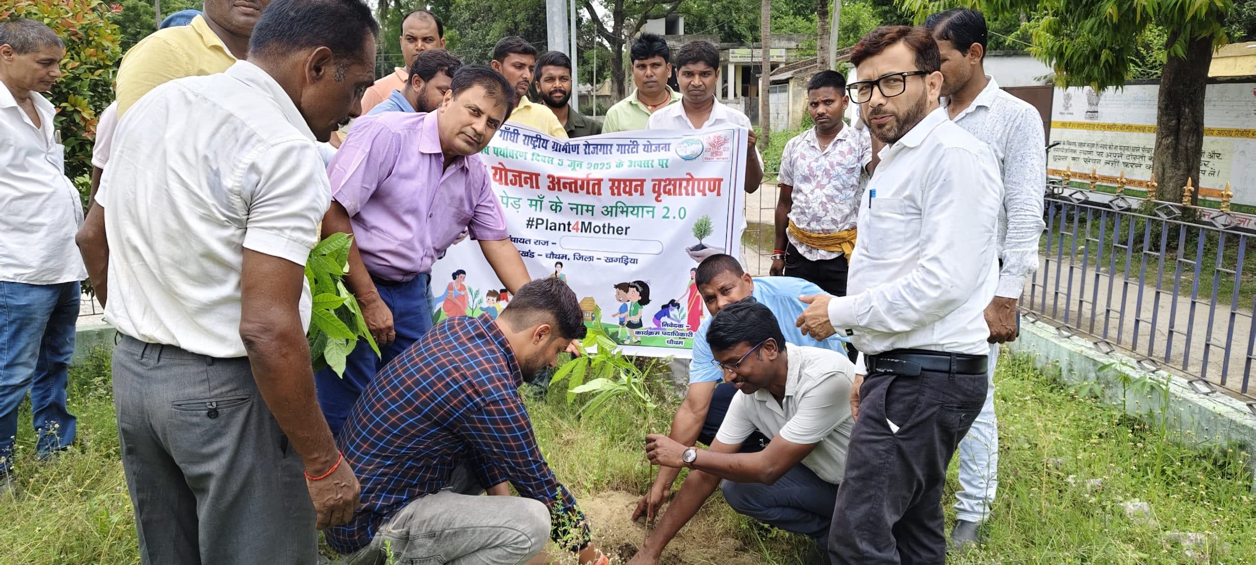 पर्यावरण दिवस पर प्रखंड परिसर में किया गया पौधरोपण