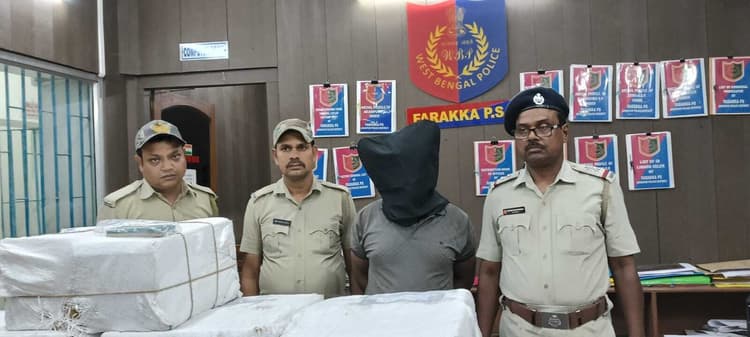 800 पीस कफ सिरप की बोतल जब्त, एक व्यक्ति गिरफ्तार