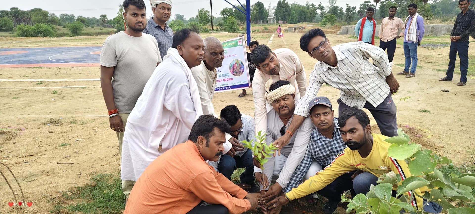 डुमरिया में खेल मैदान के किनारे लगाये गये पौधे