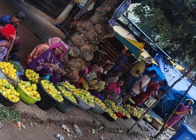 बीजू आम की खुशबू से महक रहा रनिया ब्लॉक चौक