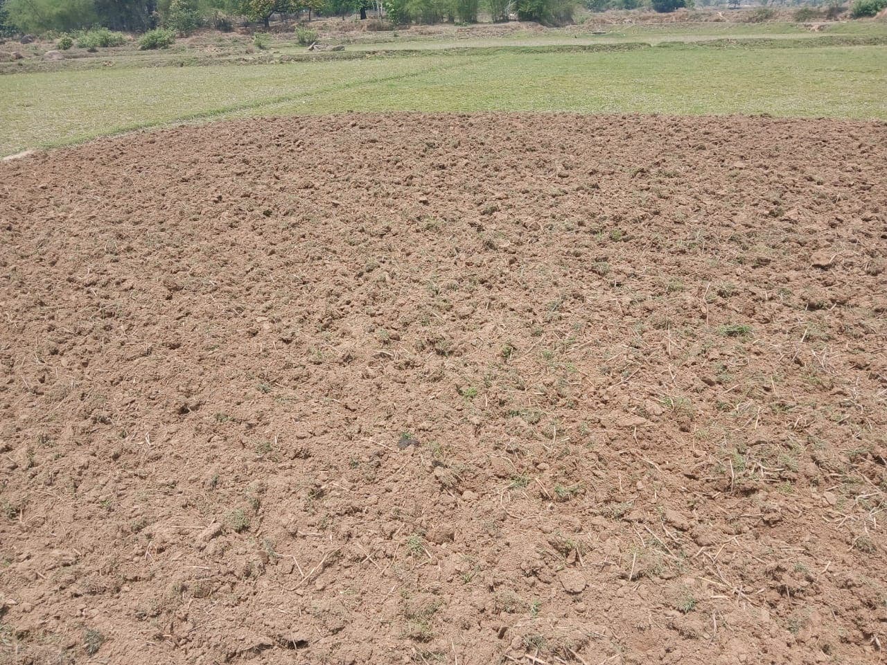 Bokaro News : समय से पहले आने वाला माॅनसून हो गया गायब, अब देरी से खेती हो सकती है प्रभावित