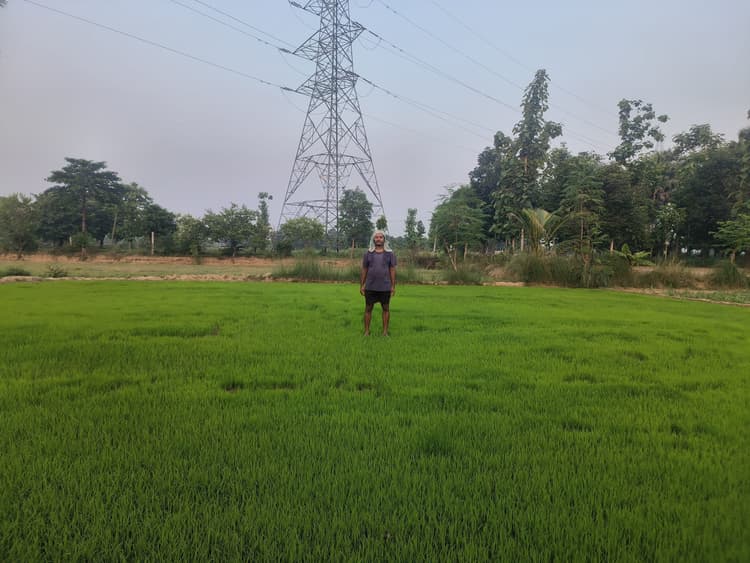 जिले में 42 हजार हेक्टेयर में धान की खेती का लक्ष्य