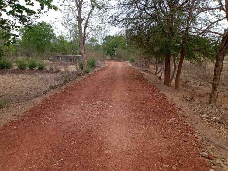 Ranchi news : झारखंड में इस साल मनरेगा से बनेंगी 7347 ग्रामीण सड़कें