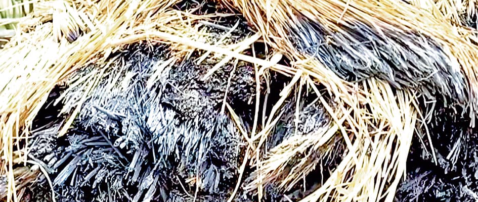 बीरभूम में तृणमूल के दो गुटों में हिंसक झड़प, 10 लोग घायल, 18 हिरासत में