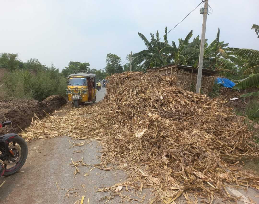 सड़क पर जमा है मक्का ठठेरी, राहगीर परेशान