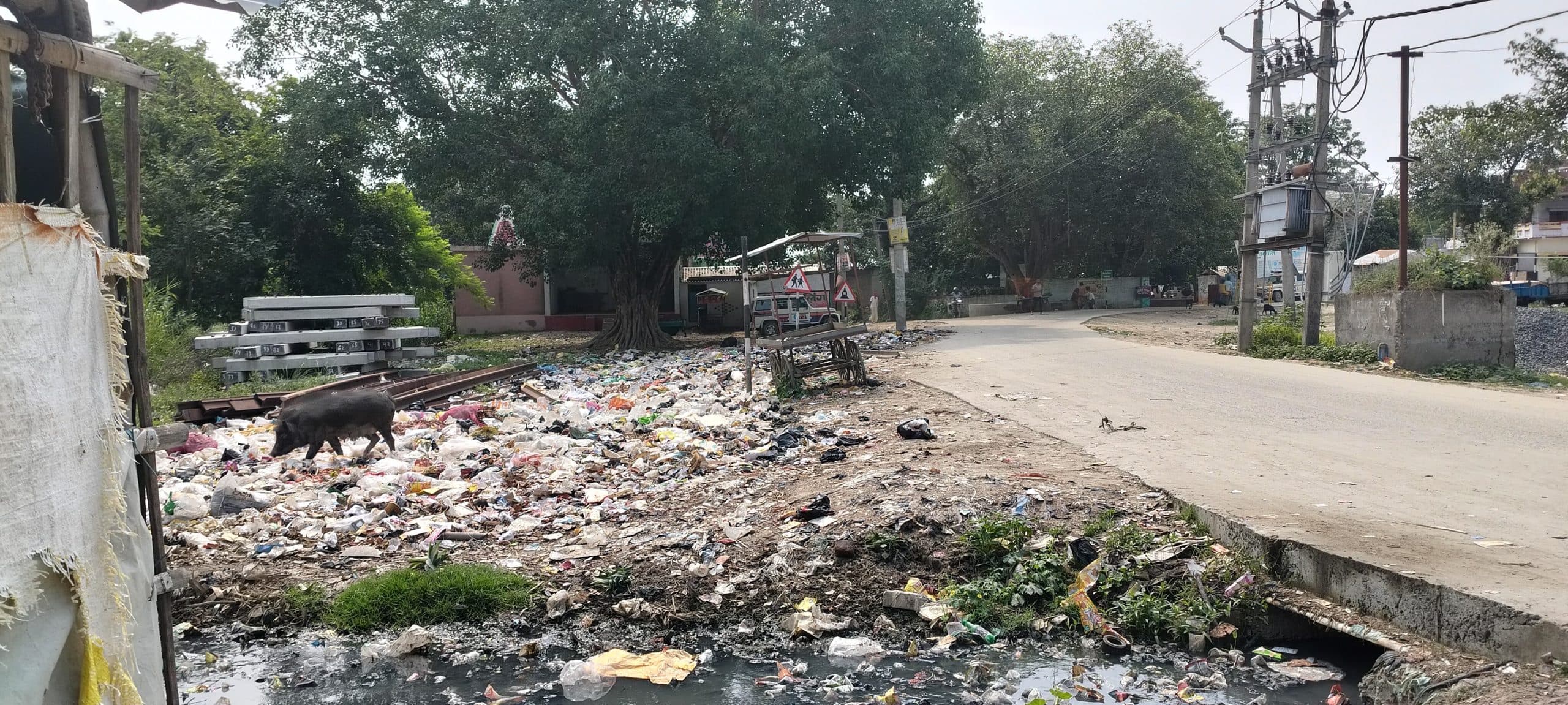 Bettiah : भैरोगंज थाना और बाजार में लगा कचरा का अंबार
