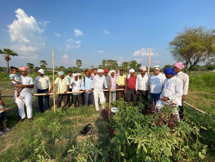 किसान प्रेमी की याद में किया गया पौधारोपण