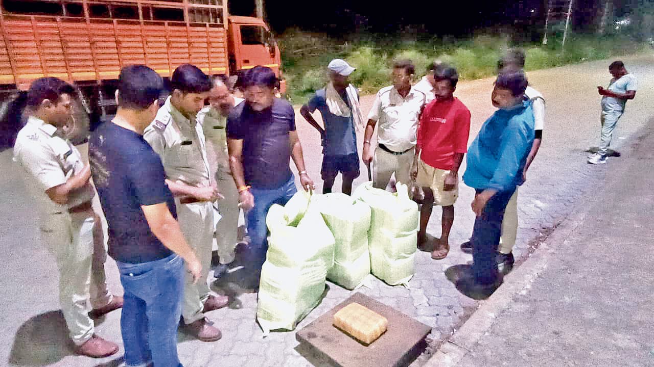 जामुड़िया : खुफिया पुलिस ने जब्त किया 90-95 किलो गांजा