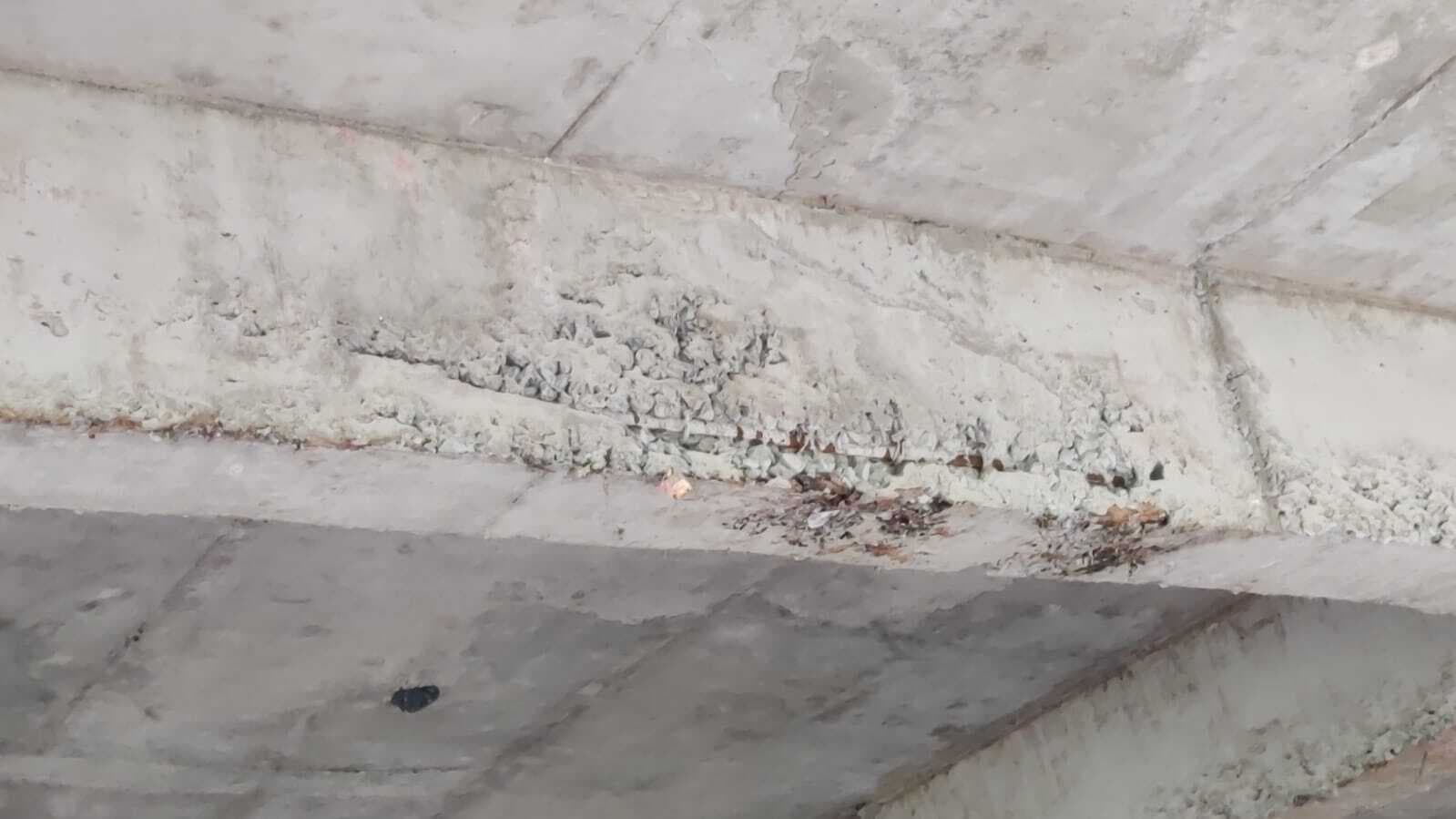 कॉलेज भवन के फस्ट प्लोर की ढलाई के बाद रिसने लगा पानी, बीम में आयी दरार