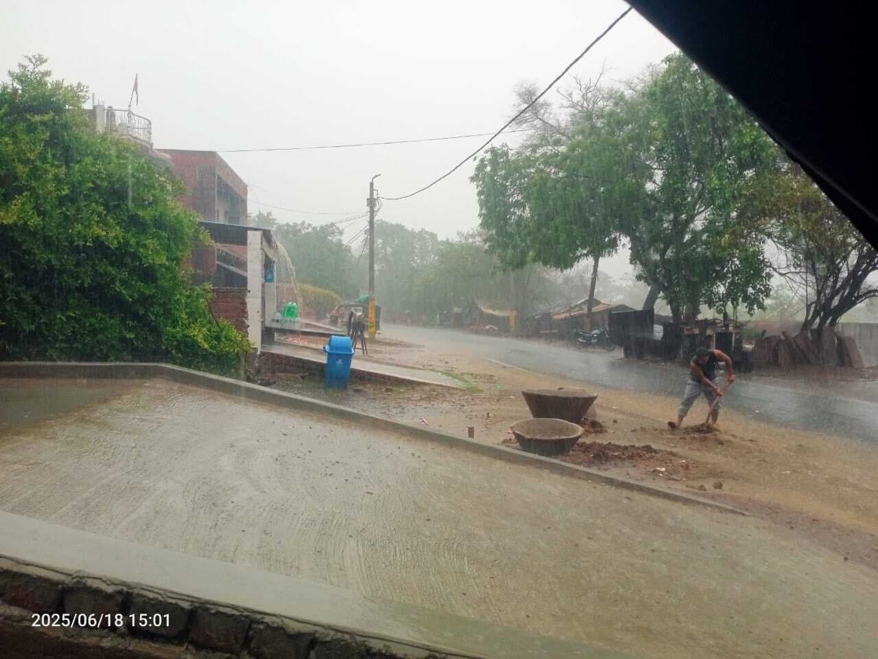 धान के बिचड़ों को मिली संजीवनी