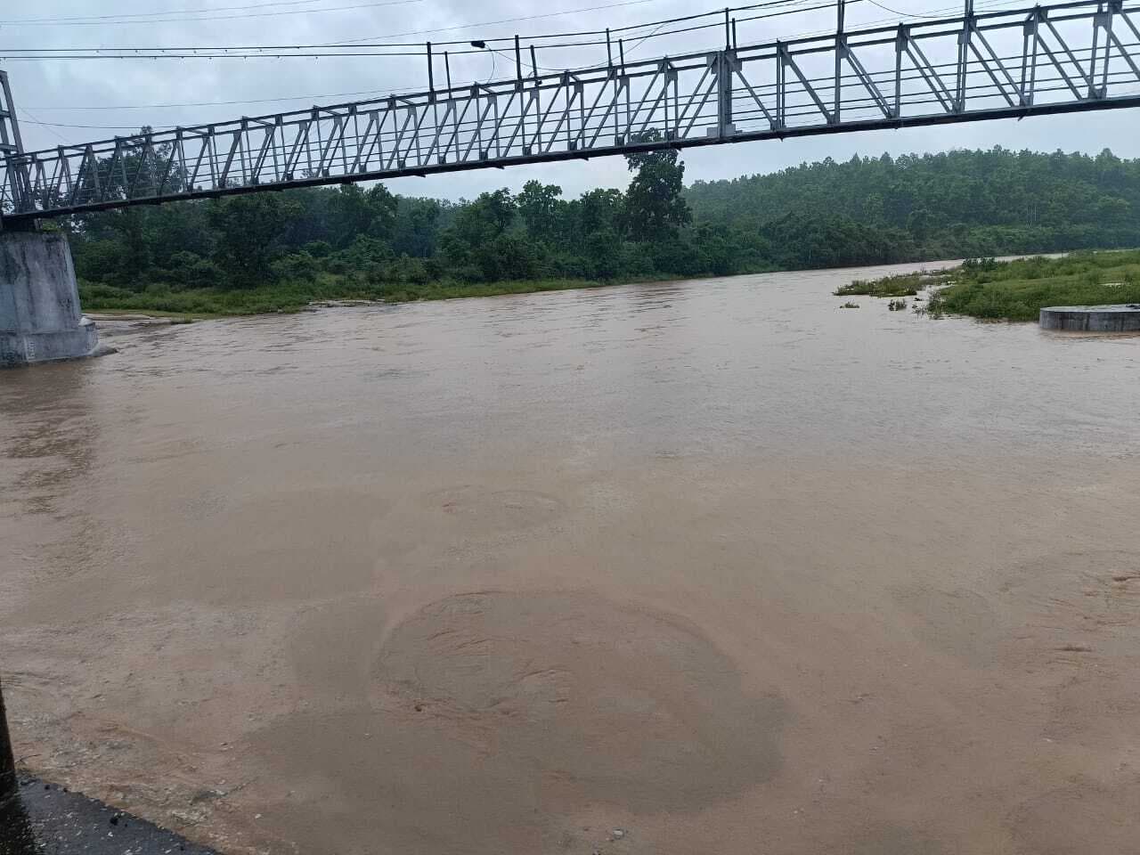 पिपरवार में भारी बारिश से जन-जीवन अस्त-व्यस्त, सभी नदियां उफान पर