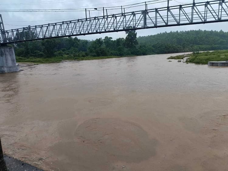 पिपरवार में भारी बारिश से जन-जीवन अस्त-व्यस्त, सभी नदियां उफान पर