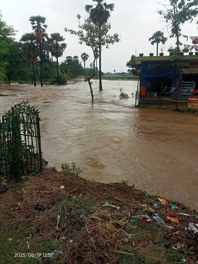 मुहाने नदी में पानी का स्तर बढ़ा, खेत हुए जलमग्न