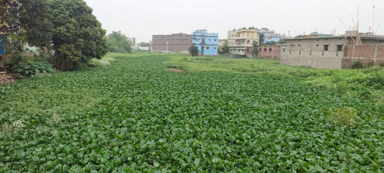 सीता धार में बनेगा ड्रेनेज सिस्टम, बाढ़ से मिलेगी मुक्ति