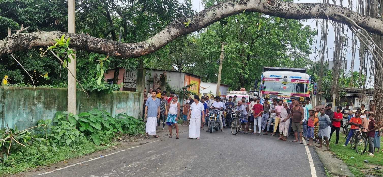 सड़क पर टहनी गिरने से आवागमन बाधित