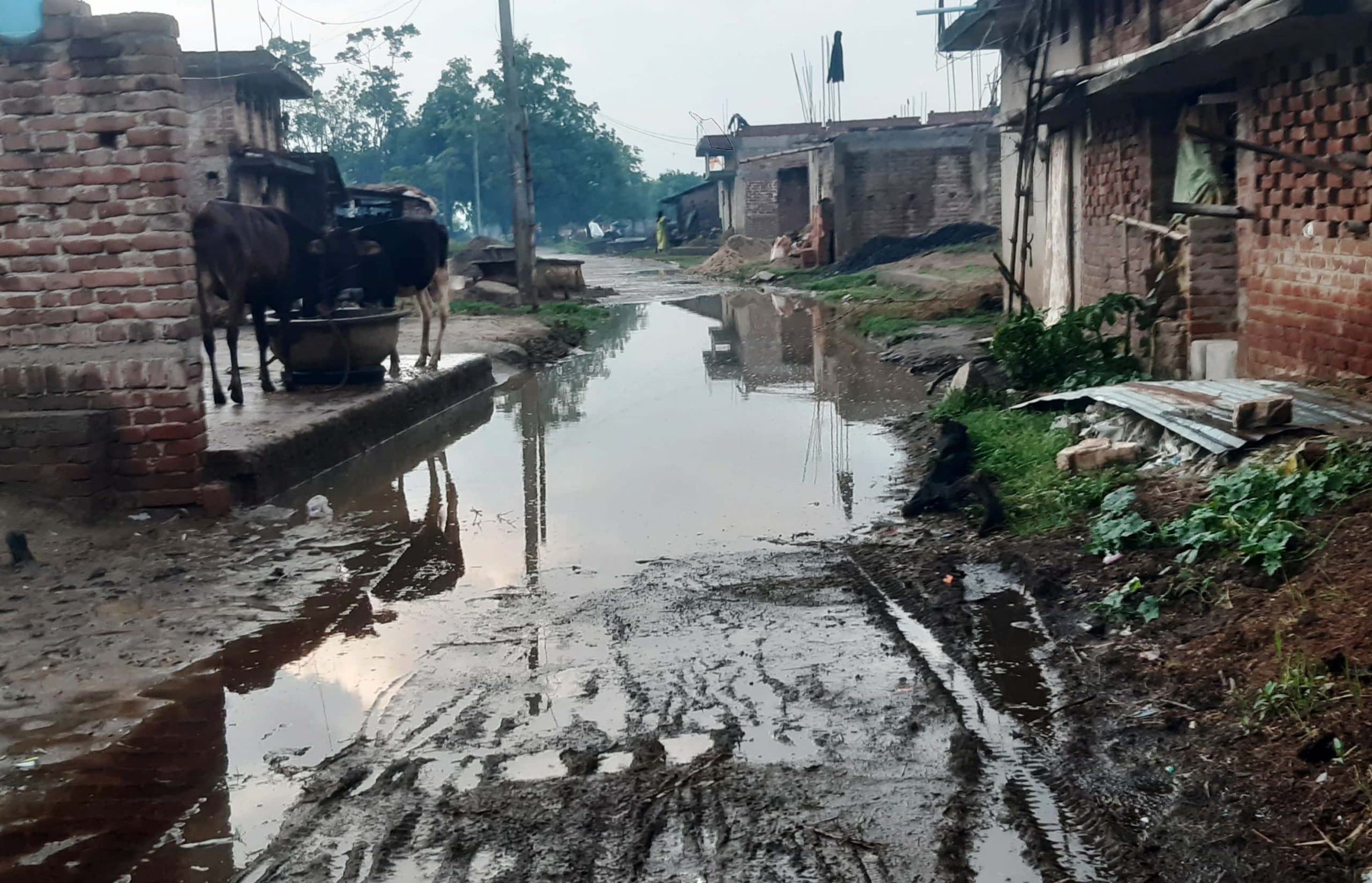 बारिश से नगर पंचायत की सफाई व्यवस्था की खुली पोल, सड़क बनी तालाब