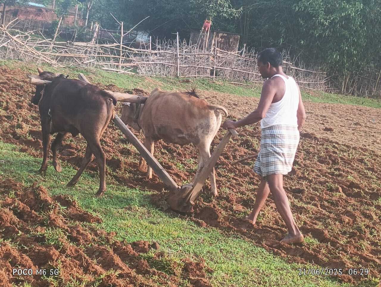 बारिश के बाद अब खेत तैयार करने में जुटे हैं किसान