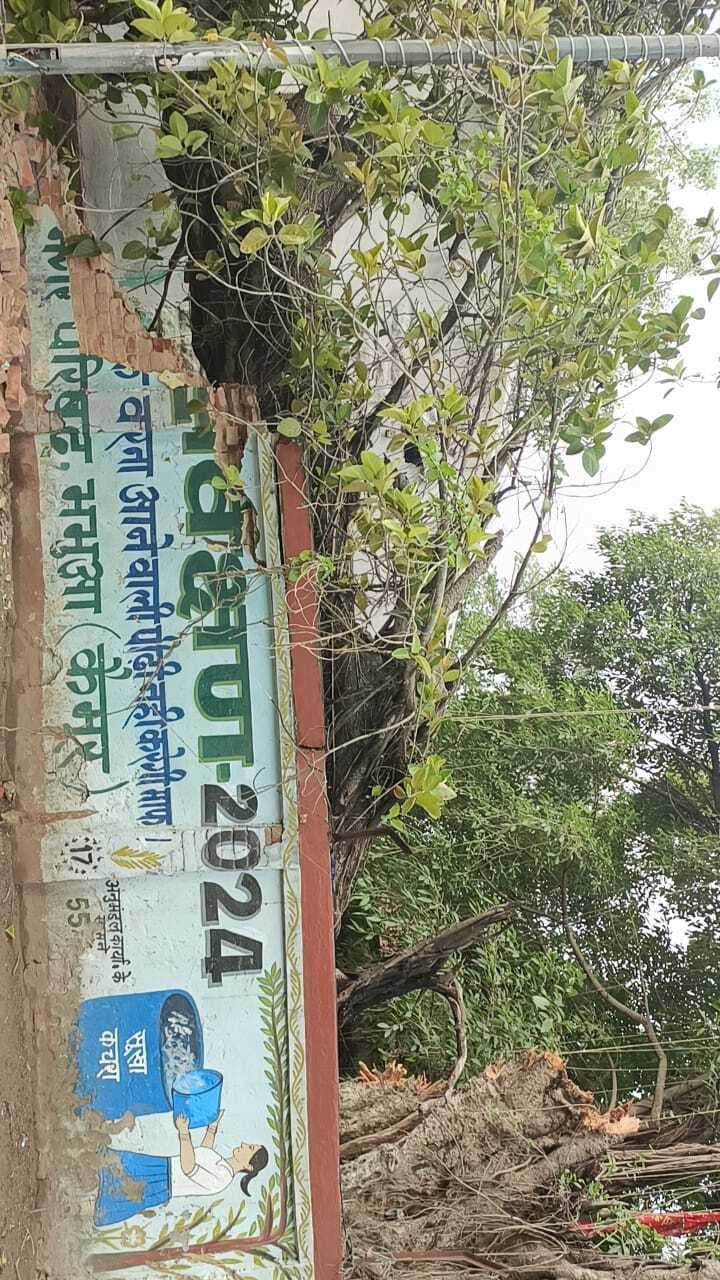 पुराने मंडलकारा में गिरा पेड़, बाल-बाल बचे बीएमपी जवान