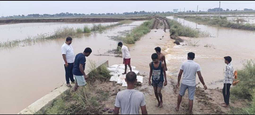 टाल क्षेत्र में बाढ़ का कहर, नदियों में उफान से टूटे कई तटबंध